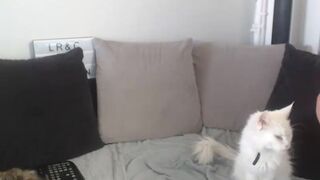 framboise6 webcam show 2020-04-08 16-44-29 Steaming hot webcam porn chatwhore is sucking big dildo and posing ti the webcam